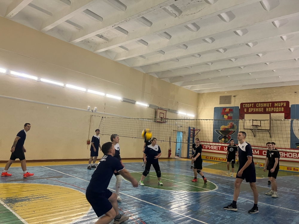 Волейбольный турнир между студентами и профессионалами!